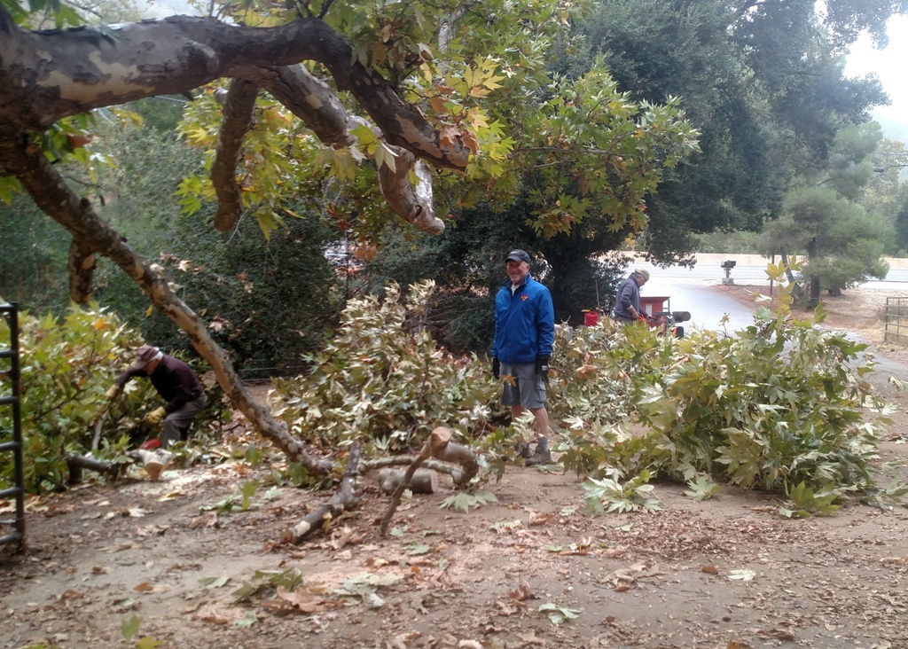 The crew cutting up and chipping the smaller branches.